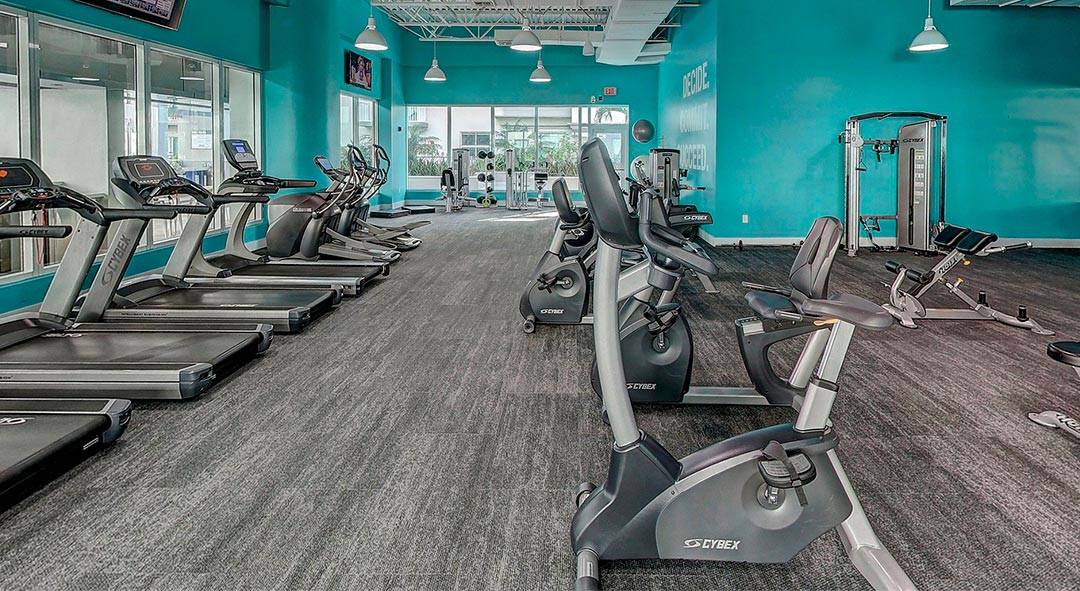 refacciones de caminadora ordenadas sobre un fondo